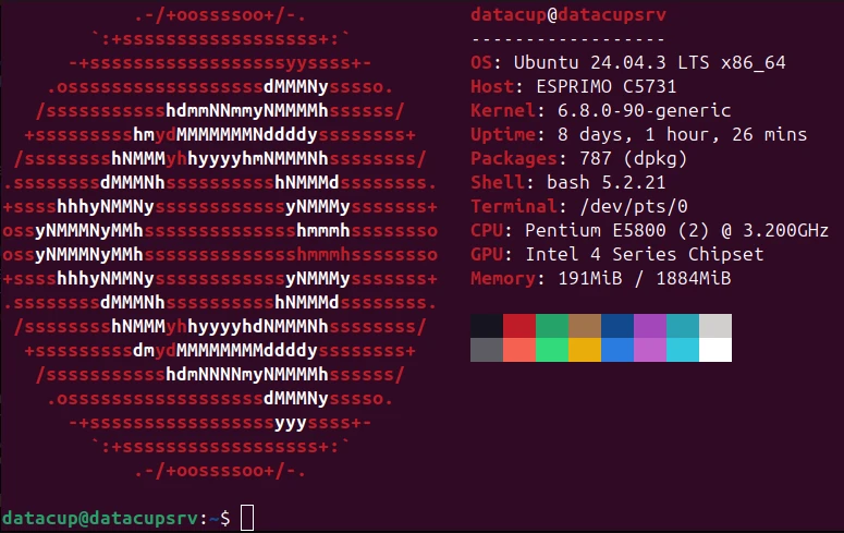 Server status fetch in Linux Terminal.